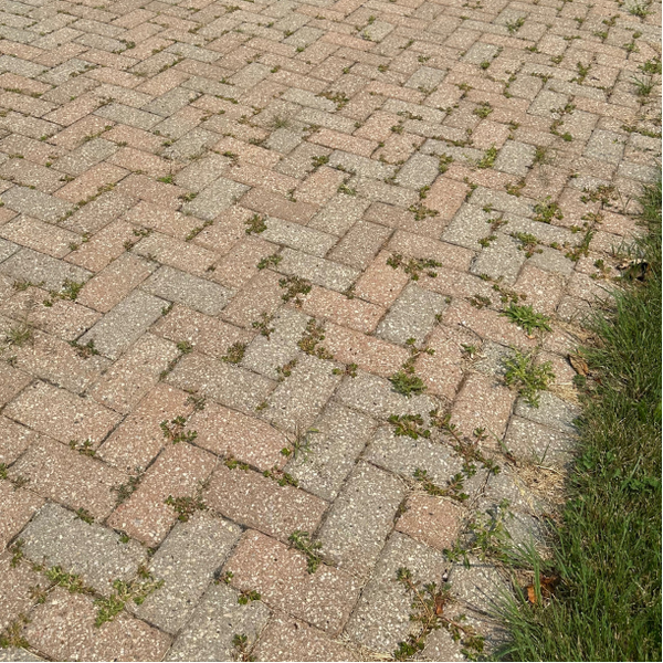 Interlock Reseal - Before